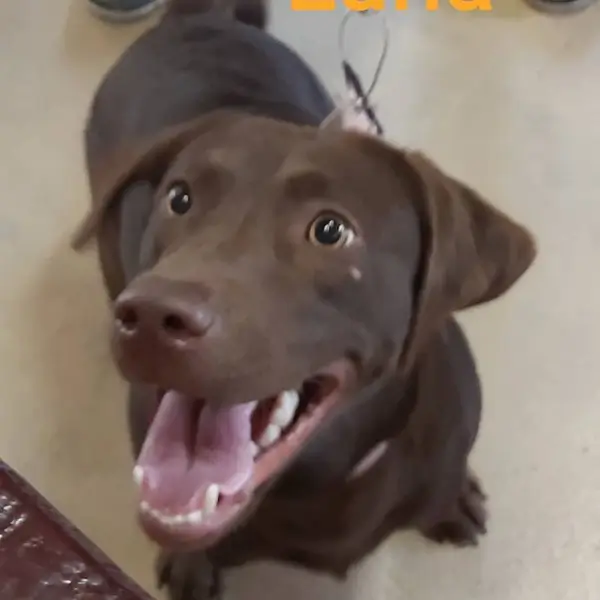 Cliente muy activo de tao veterinaria de cambados