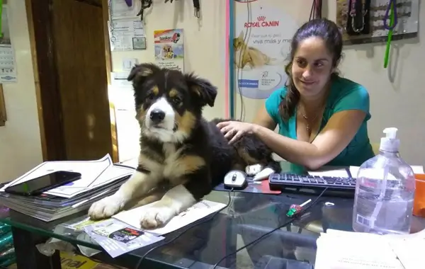 Foto de Vero en su veterinaria de Argentina, ahora en Tao veterinaria en Cambados Foto de Vero en su veterinaria de Argentina, ahora en Tao veterinaria en Cambados