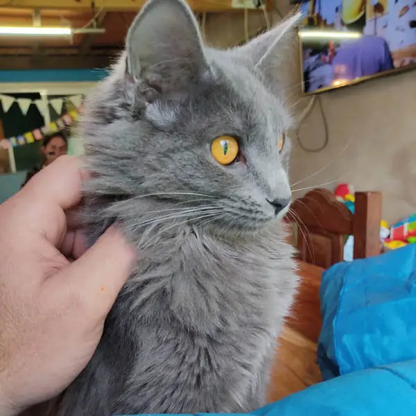 Nuestra clienta amiga de veterinaria tao en cambados Nuestra clienta amiga de veterinaria tao en cambados