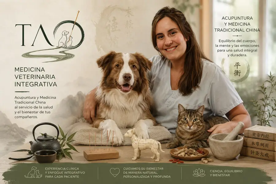 Tao veterinaria y la medicina integrativa como medio para un soporte integral a la mascota Tao veterinaria y la medicina integrativa como medio para un soporte integral a la mascota