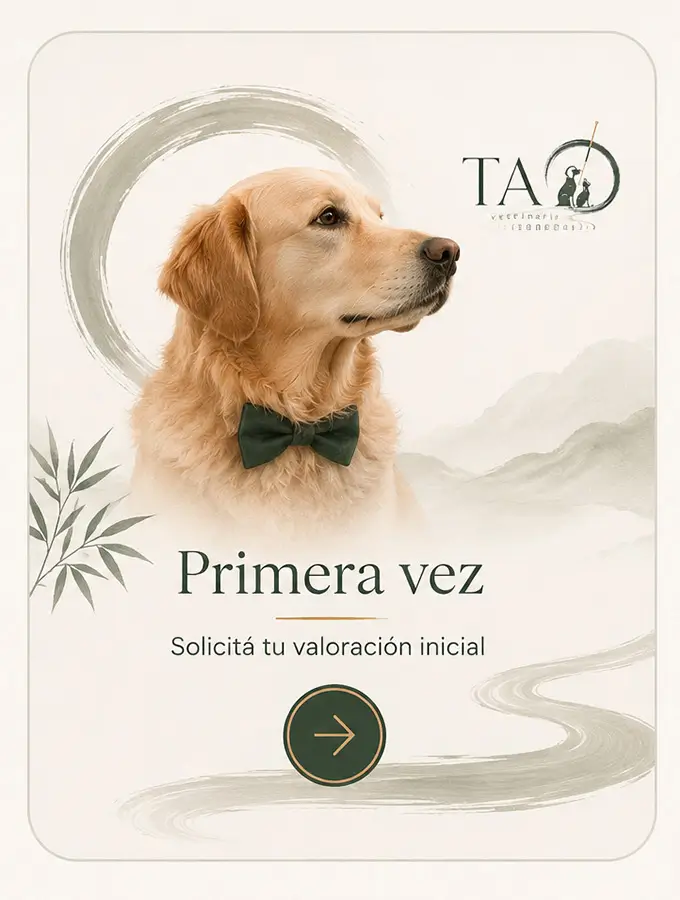 ¿ Es la primera vez que contactas con TAO veterinaria?