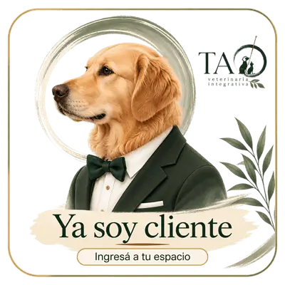 Si ye eres cliente, accede directamente a nuestra app desde este link Si ye eres cliente, accede directamente a nuestra app desde este link