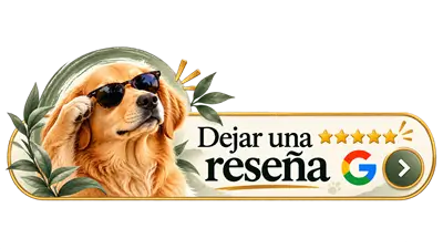 dejar una reseña en TAO veterinaria de cambados es muy importante para nosotros Botón para dejar una reseña en Google sobre TAO Veterinaria, con un golden retriever con gafas de sol y el texto «Dejar una reseña».